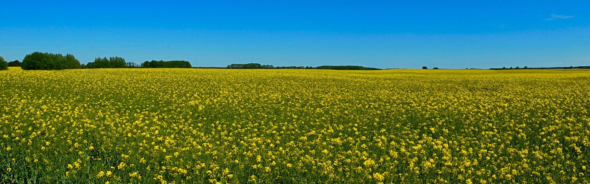 Panorama Uckermark
