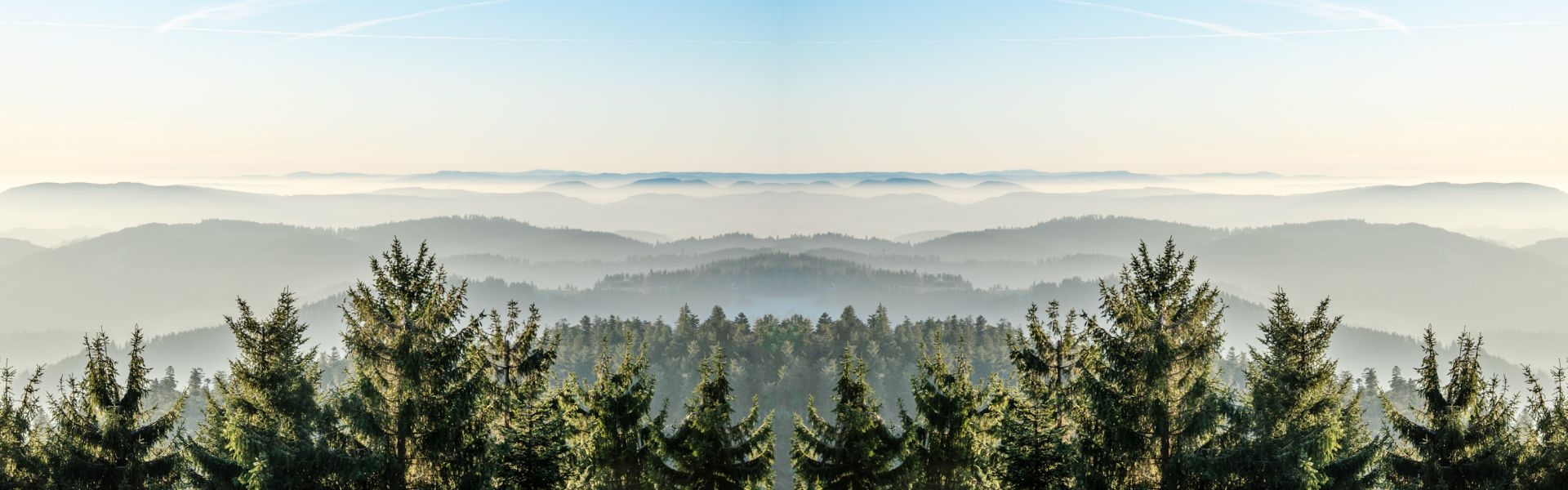 Lastminute Schwarzwald Panorama