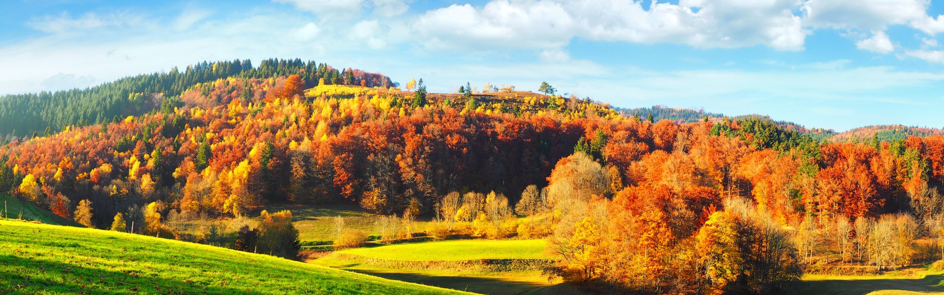 Indian Summer Panorama