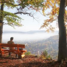 Lastminute Harz Natur - drsg98-stock.adobe