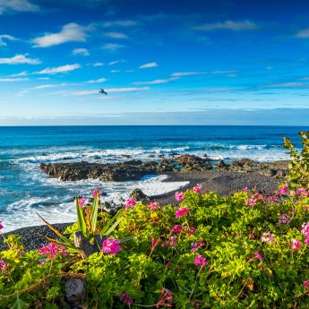 Ferienwohnungen auf Teneriffa Ferienwohnungen auf Teneriffa