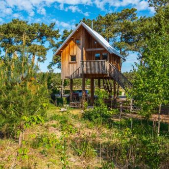 Ferienhäuser in Gelderland Ferienhäuser in Gelderland