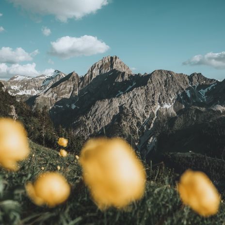 Alpenpanorama bei Oberstdorf Alpenpanorama bei Oberstdorf