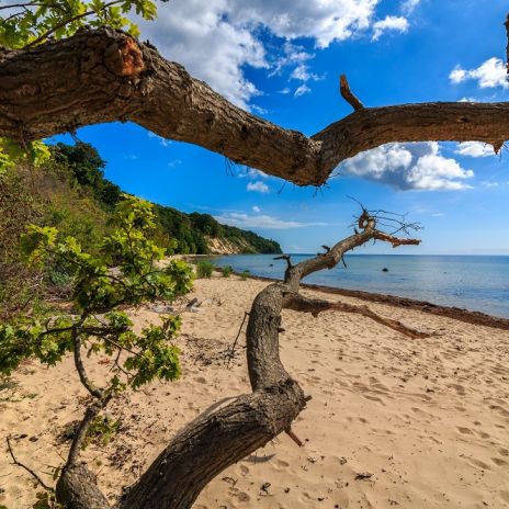 Blick über den Südstrand bei Göhren Blick über den Südstrand bei Göhren