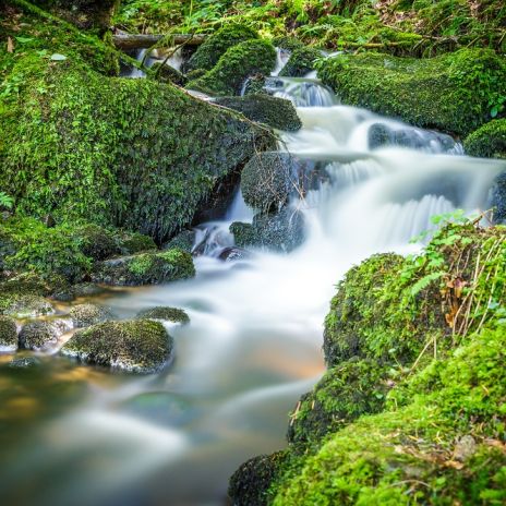 Wasserfall in Triberg im Schwarzwald Wasserfall in Triberg im Schwarzwald