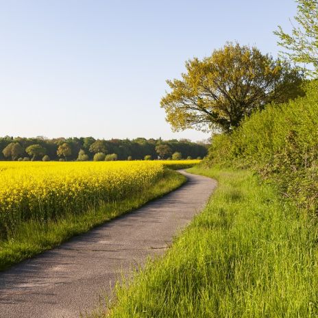 Radweg von Kellenhusen nach Dahme