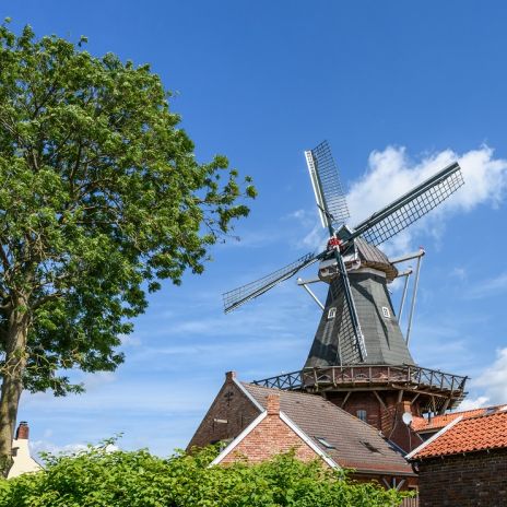 Windmühle in Rysum in Krummhörn