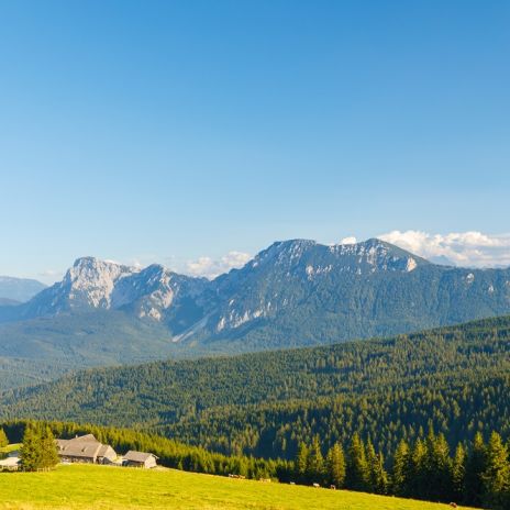 Stoisser Alm bei Teisendorf