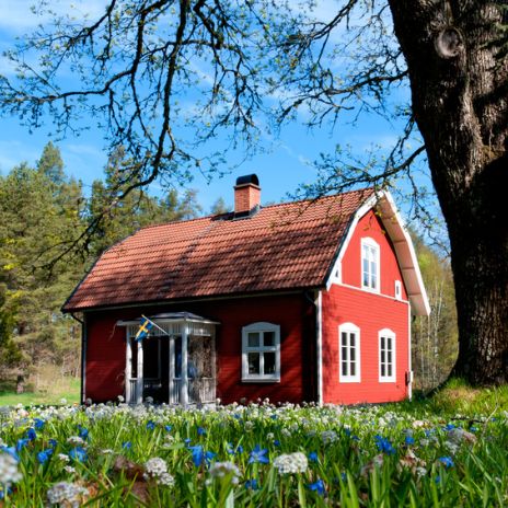 Themenbox Alleinstehendes Ferienhaus