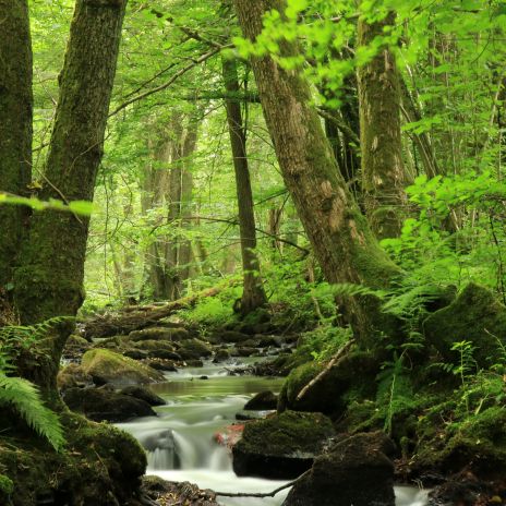 Ulfenbach in Südhessen Ulfenbach in Südhessen