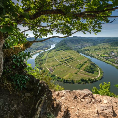 Ferienwohnung & Ferienhau  für Ihren Urlaub in Rheinland-Pfalz  Moselschleife