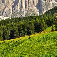 Themenbox_Urlaub im Alleinstehenden Ferienhaus in den Bergen.590x230