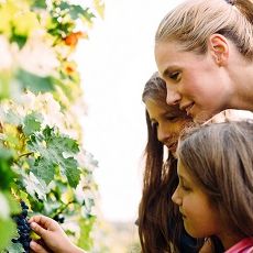 Themenbox Ferienhaus & Ferienwohnung_Pfalz_Familienurlaub_590x230 Themenbox Ferienhaus & Ferienwohnung_Pfalz_Familienurlaub_590x230