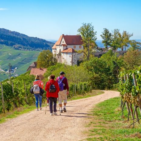 Wanderung zum Schloss Staufenberg