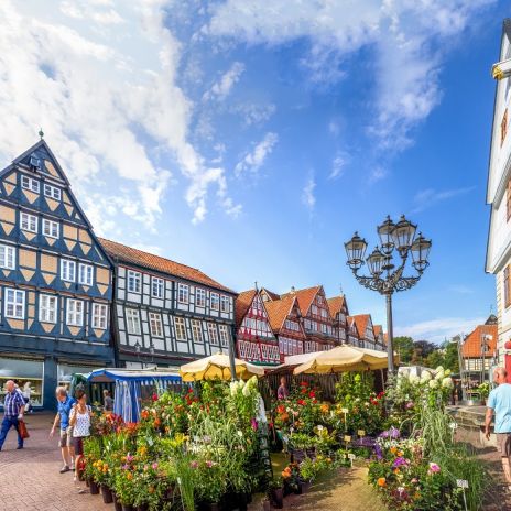 Markt in der Innenstadt von Celle Markt in der Innenstadt von Celle