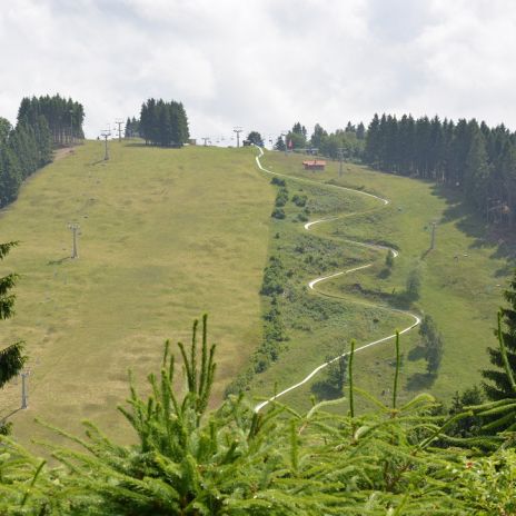 Sommerrodelbahn bei Sankt Andreasberg