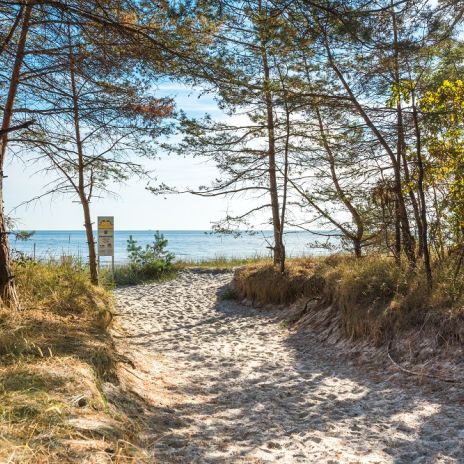 Weg durch die Dünen bei Prora auf Rügen Weg durch die Dünen bei Prora auf Rügen