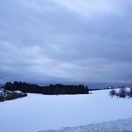 Winter in Teisendorf