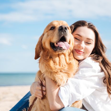 4-Hund und haustierfreundliche Ferienwohnungen und Ferienhäuser in Schleswig-Holstein für Urlaub mit Hund in Schleswig-Holstein