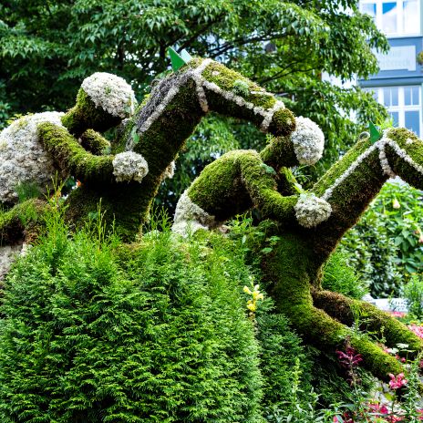 Blumenskulptur „Pferde mit Reiter“ in Bad Harzburg Blumenskulptur „Pferde mit Reiter“ in Bad Harzburg