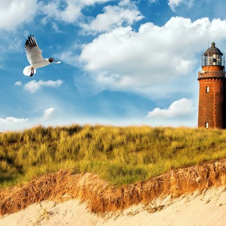 Leuchtturm in Prerow Leuchtturm in Prerow