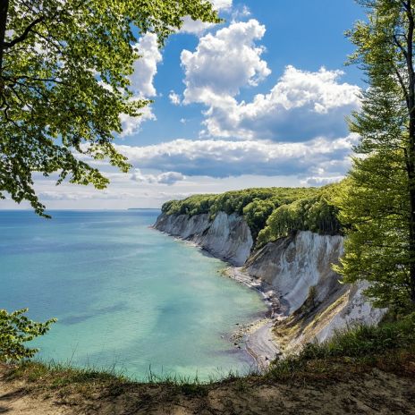 Kreidefelsen auf Rügen