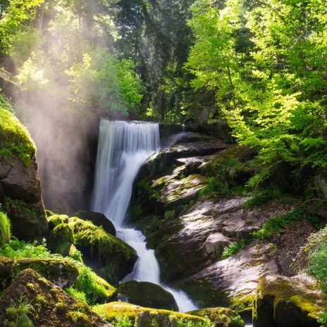Wasserfall bei Triberg im Schwarzwald Wasserfall bei Triberg im Schwarzwald