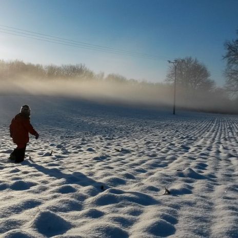 Winterlandschaft in der Mecklenburgischen Schweiz Winterlandschaft in der Mecklenburgischen Schweiz