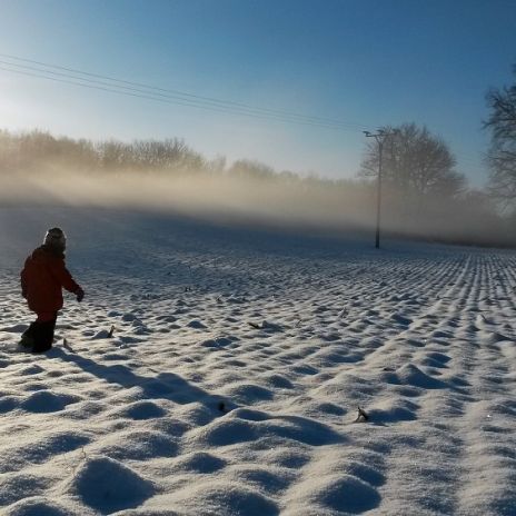 Winterlandschaft in der Mecklenburgischen Schweiz