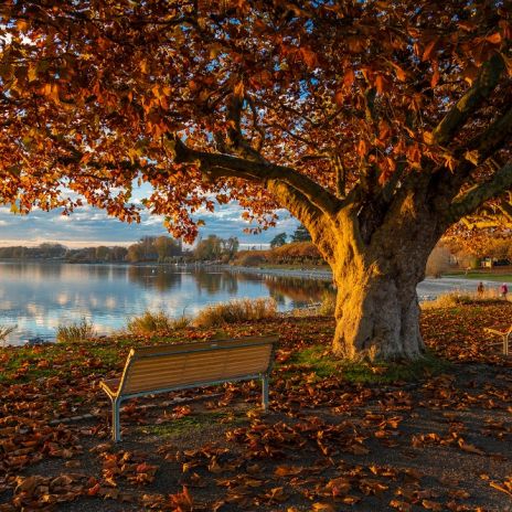 Herbststimmung am Bodensee