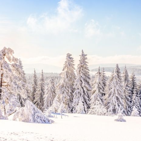 Winterlandschaft zwischen Brocken, St. Andreasberg und Braunlage Winterlandschaft zwischen Brocken, St. Andreasberg und Braunlage