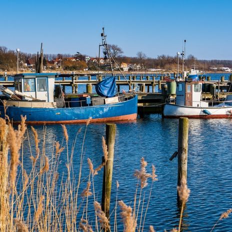 Hafen von Rerik am Salzhaff