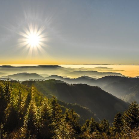 Sonnenaufgang im Schwarzwald