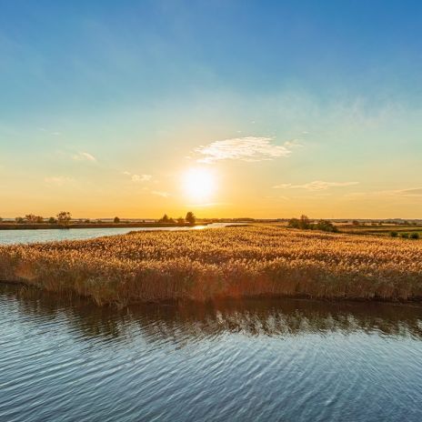 Bodstedter Bodden im Sonnenuntergang