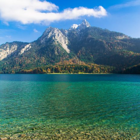 Der Alpsee in Hohenschwangau Der Alpsee in Hohenschwangau