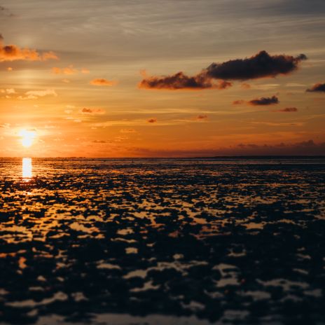 Sonnenuntergang am Wattenmeer Sonnenuntergang am Wattenmeer