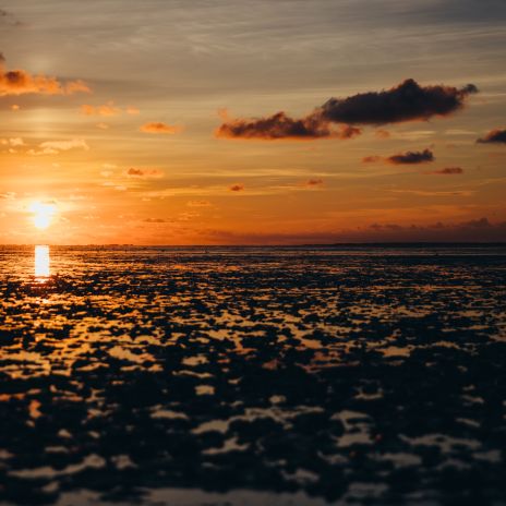 Sonnenuntergang am Wattenmeer