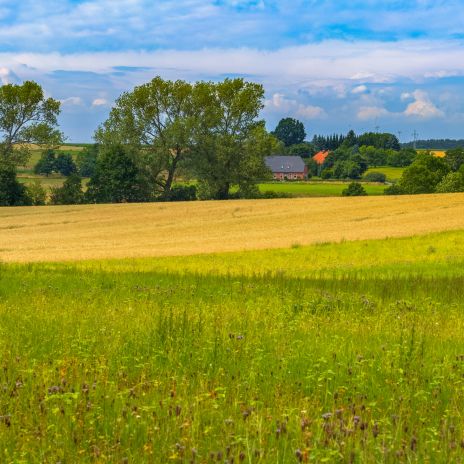 Felder bei Lüben im Landkreis Lüneburg Felder bei Lüben im Landkreis Lüneburg
