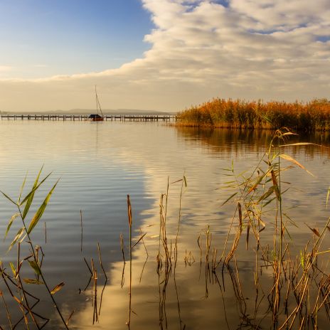 Steinhuder Meer im Herbst Steinhuder Meer im Herbst
