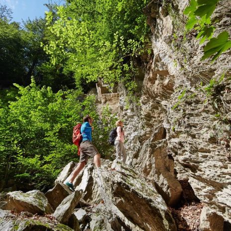 Dinsterbachschwinde bei Questenberg (c) Harzer Tourismusverband, M. Gloger Dinsterbachschwinde bei Questenberg (c) Harzer Tourismusverband, M. Gloger