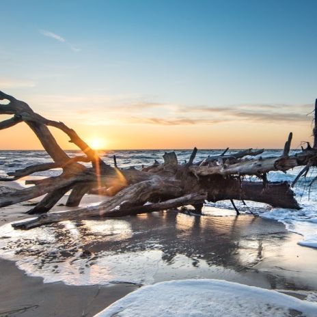 Naturstrand an der Ostsee Naturstrand an der Ostsee