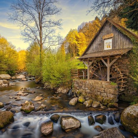 Wassermühle im Schwarzwald Wassermühle im Schwarzwald