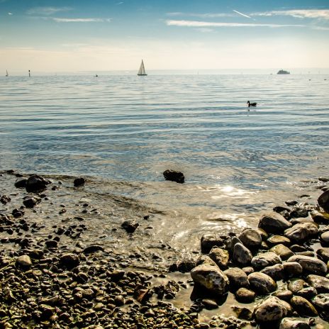 Kieselsteine am Ufer des Bodensees