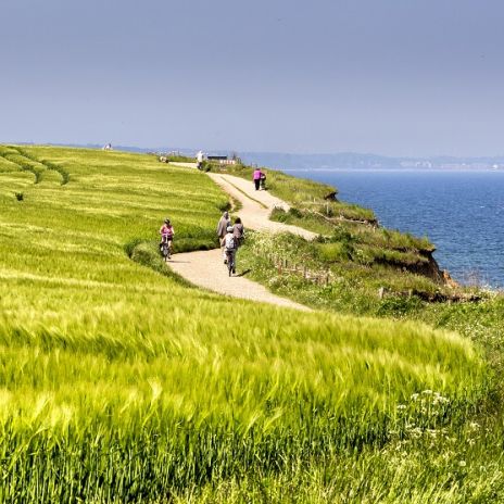 Wandern auf dem Brodtener Steilufer bei Travemünde