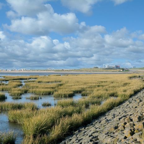 Nordseeküste in Norddeich