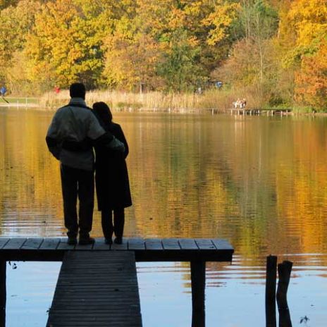 Ferienwohnungen und Ferienhäuser für die ganze Familie an der Müritz Themenbox Urlaub mit der Familie an der Müritz