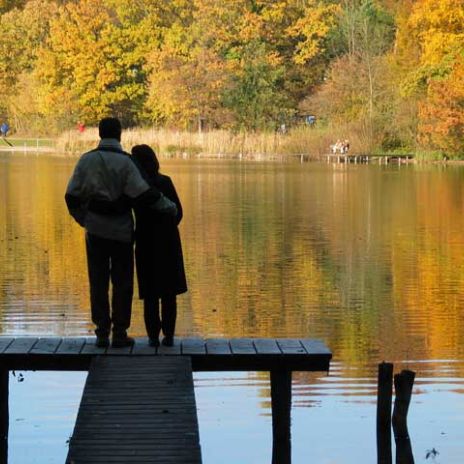 Themenbox Urlaub mit der Familie an der Müritz