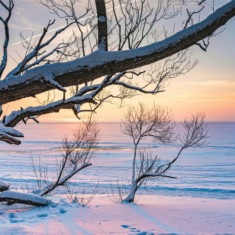 Ostfriesland im Winter