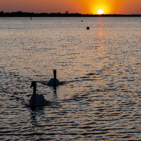 Sonnenuntergang am Steinhuder Meer Sonnenuntergang am Steinhuder Meer
