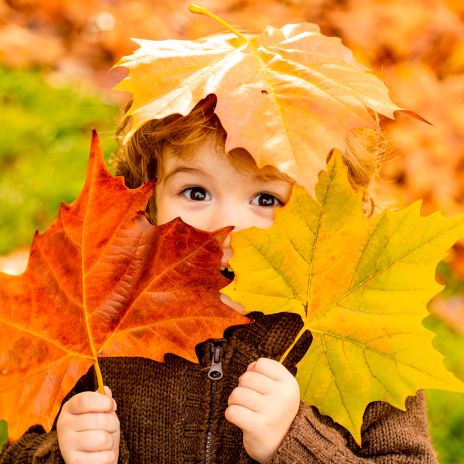bestfewo Herbst Last-Minute Angebote - ©Volodymyr/stock.adobe.com bestfewo Herbst Last-Minute Angebote - ©Volodymyr/stock.adobe.com